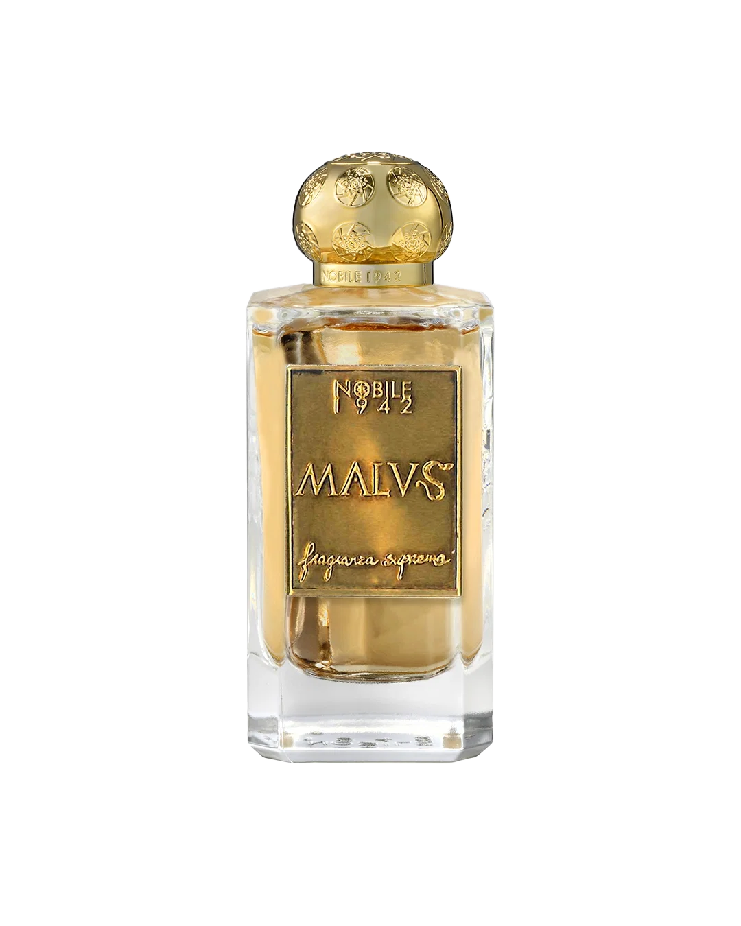 Malvs