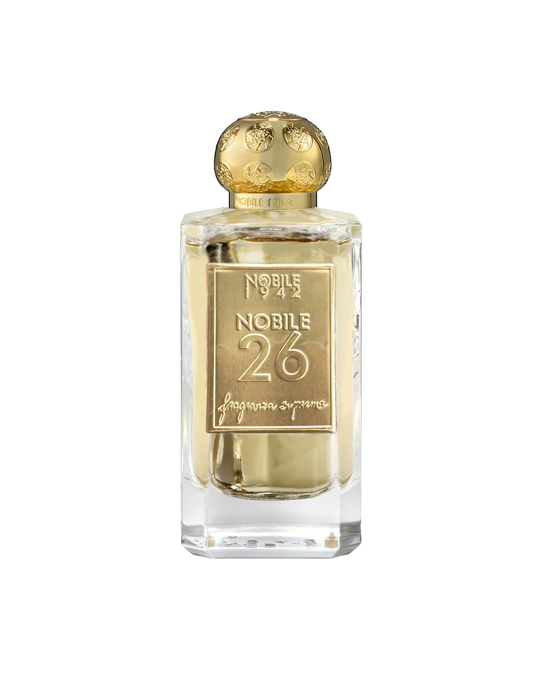 Nobile 26